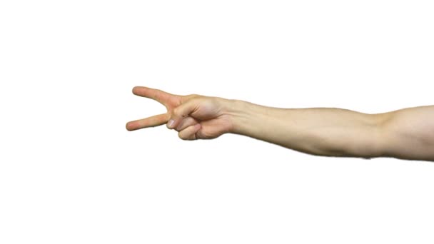 Compter jusqu'à cinq sur fond blanc 