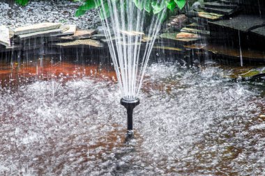Bahçedeki küçük çeşmenin fotoğraf