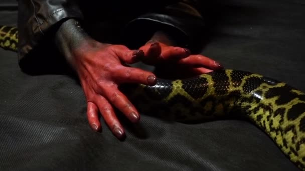 Snake and bloody hands — Stock Video