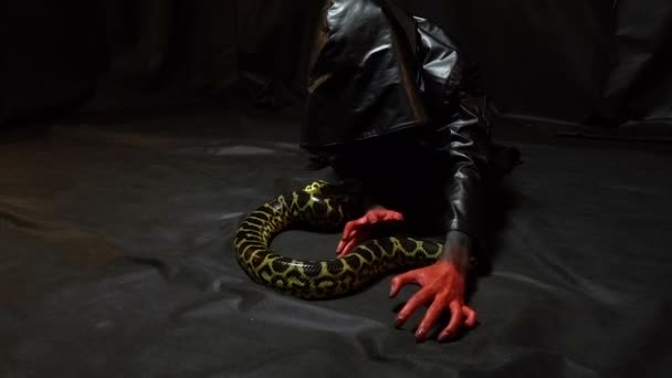 Crawling serpiente y chica en negro — Vídeos de Stock