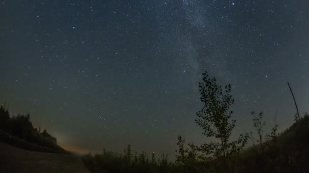 Ночное небо летом, 4k — стоковое видео