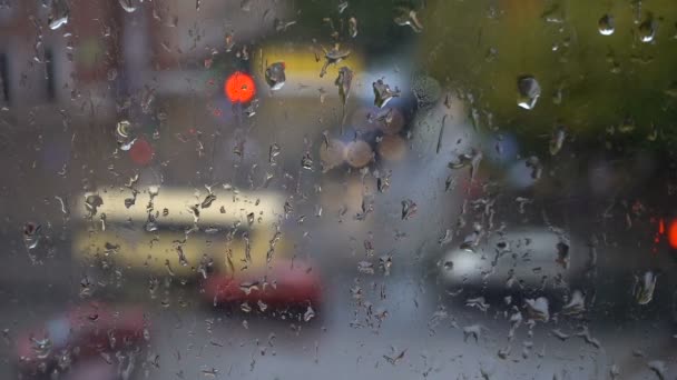 Postupné kapky deště, výhled z okna — Stock video