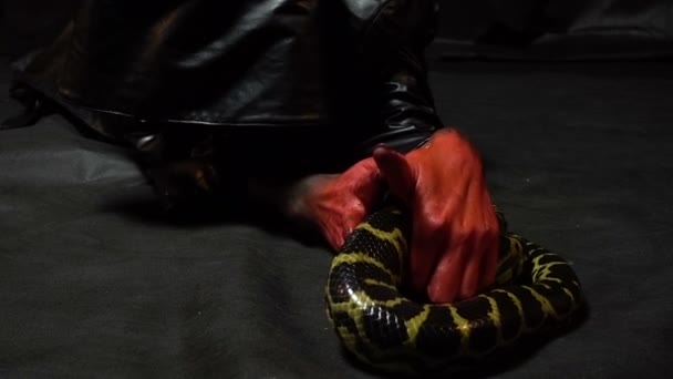 Gezinme python ve Siyahlı kadın — Stok video