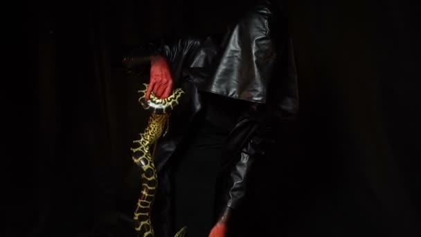 아나콘다와 여자 검은 후드 — 비디오