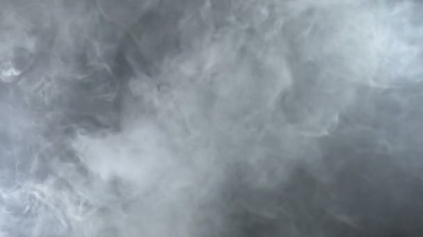 Texture of white smoke, 4k — Stock Video