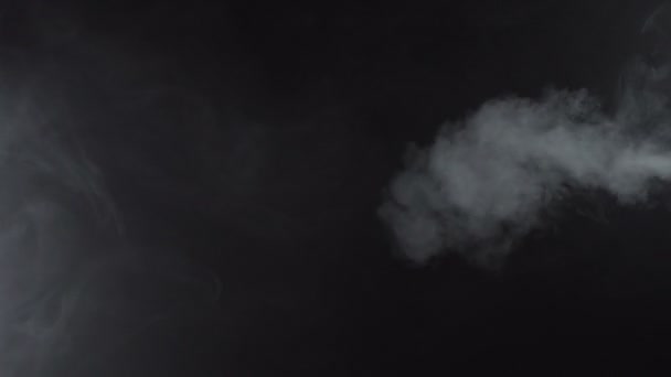 White smoky stream of cigarette, 4k — Stock Video