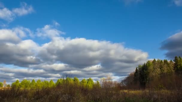 Céu azul com nuvens e árvores — Vídeo de Stock