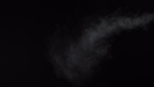 Bílý kouřový mrak na černém pozadí, 4k — Stock video