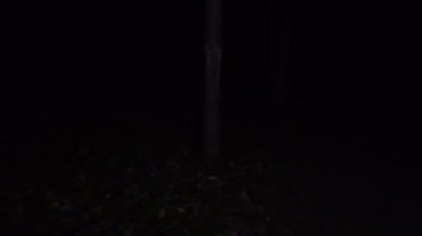 Ormanda yürüyüş gece video