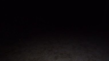 Toprak yolda yürürken gece görüntüleri