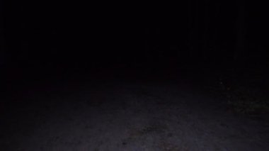 Toprak yolda yürürken gece video