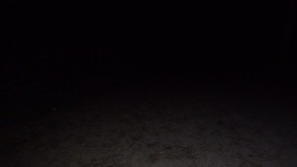 Кадри нічної прогулянки по брудній дорозі — стокове відео