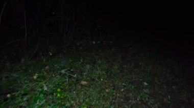 Gecede yürüme görüntüleri