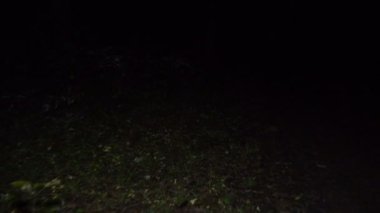 Gecede yürüme video