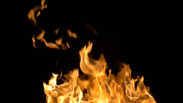 Vídeo de fogo ardente — Vídeo de Stock