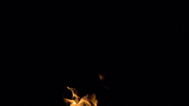 Видео горящего небольшого пламени — стоковое видео