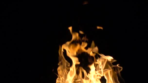 Brännande eld på svart bakgrund — Stockvideo