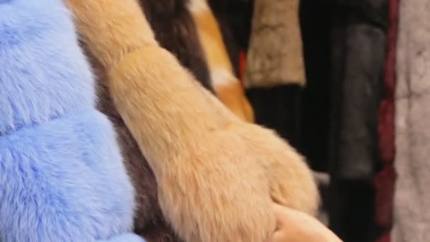 Imágenes del abrigo de piel de zorro color — Vídeos de Stock