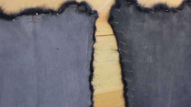 Vidéo de peaux de visons dans l'atelier — Video