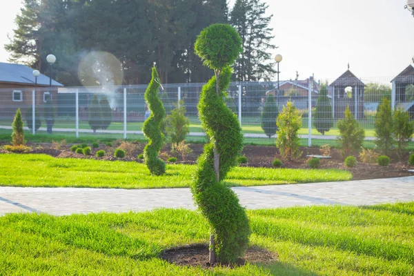 Yeşil bahçe peyzaj tasarımı ile görüntü