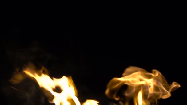 Backgrounf пламени в ночь — стоковое видео