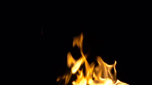 Video de llama en la noche — Vídeos de Stock