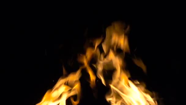 Burning fire on black background — Stock Video
