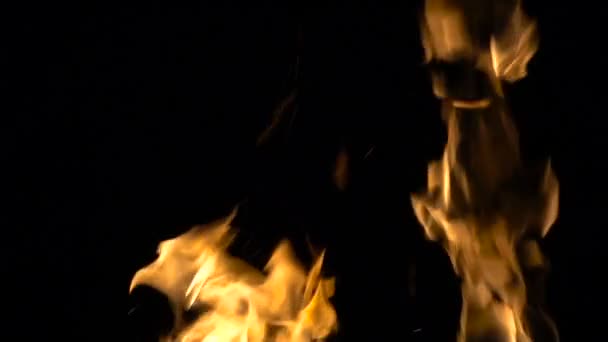 Burning orange fire on black background — Stock Video