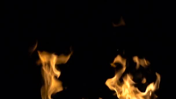 Brennende orangefarbene Flamme auf schwarzem Hintergrund — Stockvideo