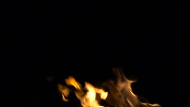 Hořící oheň, záběry na černém pozadí — Stock video