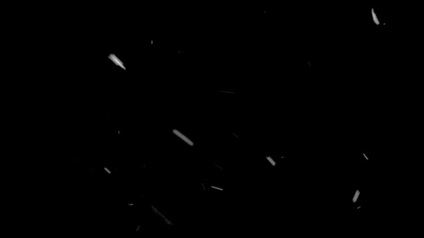 Vídeo de nieve blanca cayendo — Vídeo de stock