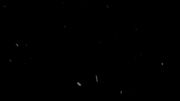 Aufnahmen Von Fallendem Weißen Schnee Auf Schwarzem Hintergrund — Stockvideo
