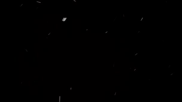 Белая маленькая снежинка падает на черном фоне — стоковое видео