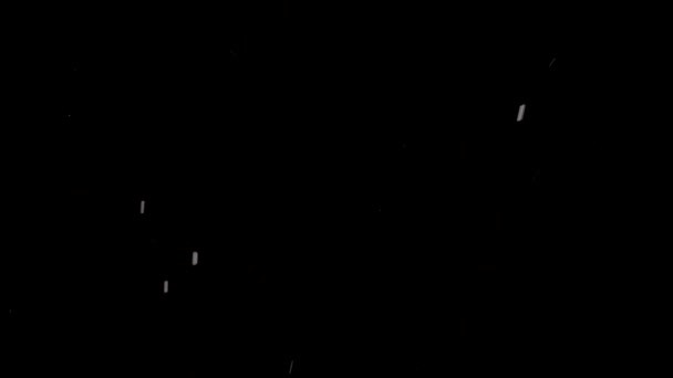 Маленькая снежинка падает на черном фоне — стоковое видео