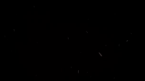 White small snowflake falling on black background — Stock Video