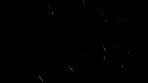 Footage Falling White Snow Black Background — Stock Video