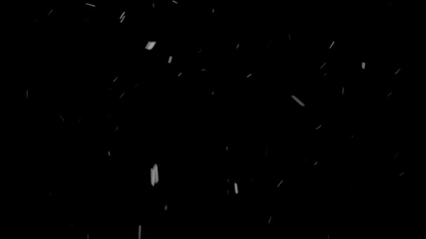 Siyah Arka Plan Üzerine Düşen Beyaz Görüntüleri Kar — Stok video