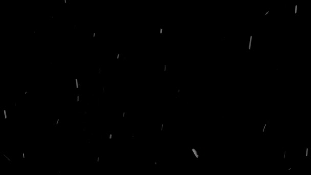 Piccoli fiocchi bianchi su sfondo nero — Video Stock