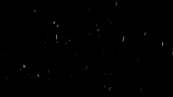 Flocons blancs sur fond noir — Video