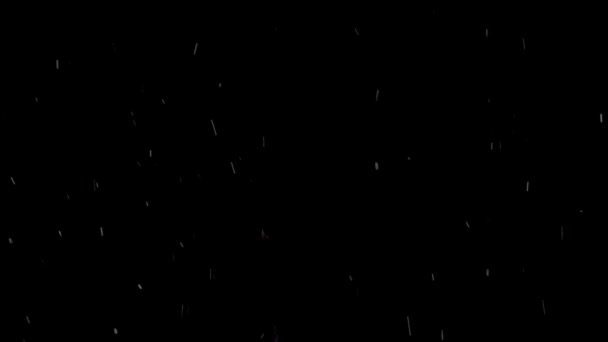 Kleine Flocken auf schwarzem Hintergrund — Stockvideo