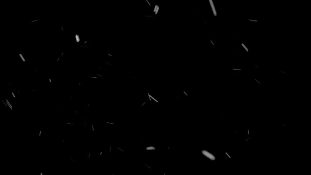 Snowflakes falling down on black background — Stock Video