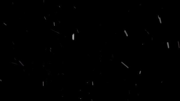 Χειμώνα νιφάδες χιονιού πέφτουν σε μαύρο φόντο — Αρχείο Βίντεο