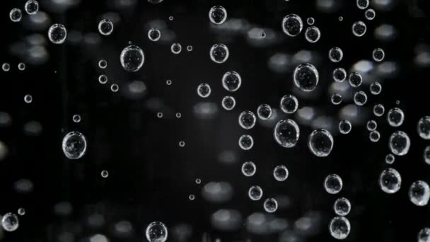 Footage of water with bubbles in glass on black background — Stock Video