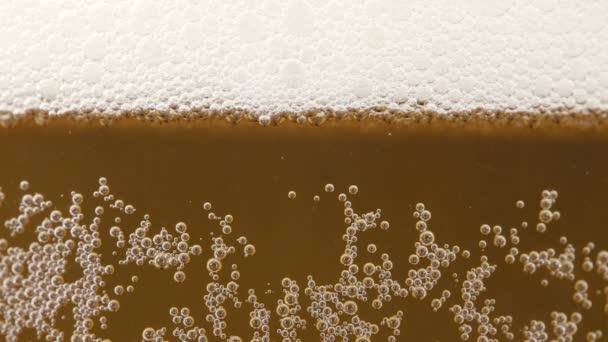 Video de cerveza fría de oro en vidrio con pequeñas burbujas — Vídeos de Stock