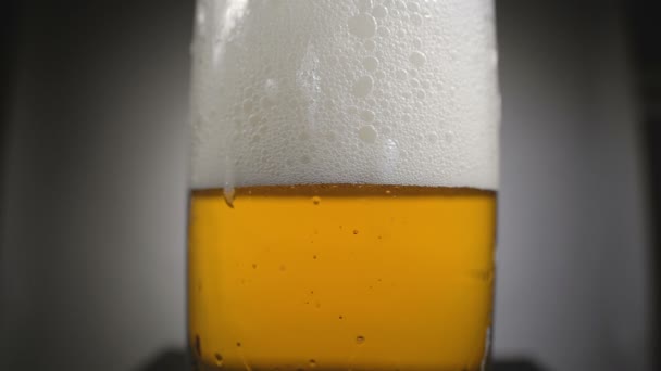 Χρυσό μπύρα σε ποτήρι με λευκό αφρό — Αρχείο Βίντεο