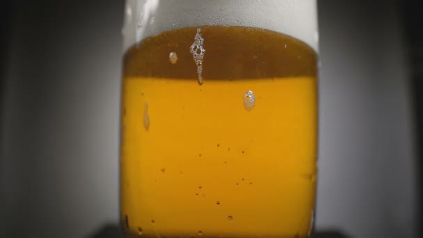 Bière d'or en verre avec mousse blanche — Video