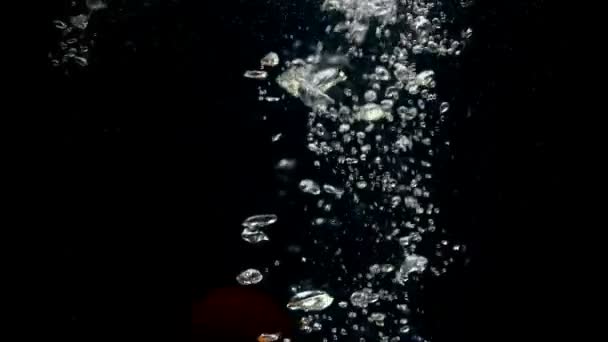 Видеозапись падения хурмы в воде на черном фоне — стоковое видео