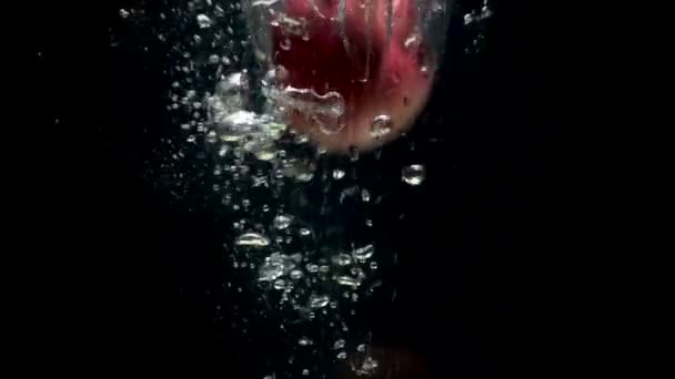 Відео падіння червоного яблука у воді на чорному тлі — стокове відео