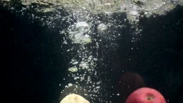 Images de pommes et de poires tombées dans l'eau — Video