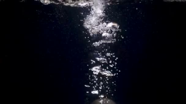 Suya düşen armut görüntüleri — Stok video
